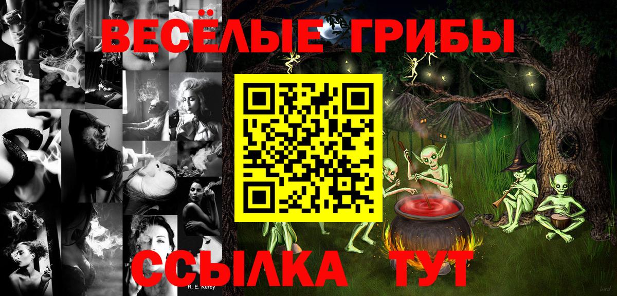 Якутск  Галлюциногенные грибы Psilocybe  Вход с VPN  Псилоцибиновые грибы GOLDEN TEACHER 